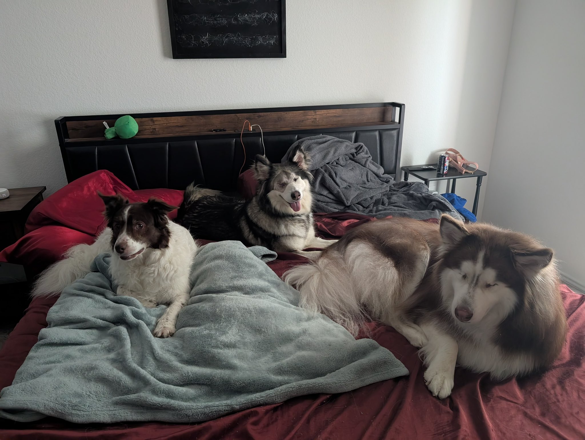 Dog house with toys in a minimal cream aesthetic
